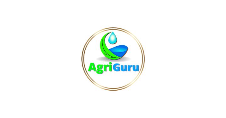 XTNPL Pic - 2024-12-24T153323.201