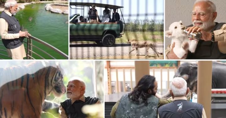 XTNPL Pic - 2025-03-04T155058.956