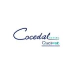 News - 2025-06-11T180812.190