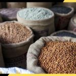 News - 2026-02-11T152947.420